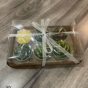 Succulent Candles (6 pc)